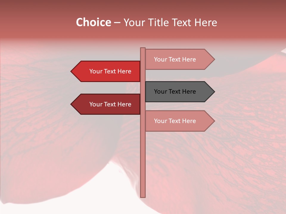 Summer Color Individuality PowerPoint Template