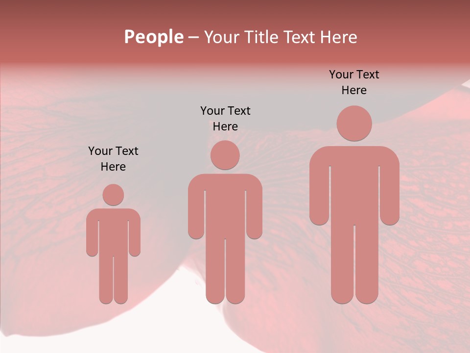 Summer Color Individuality PowerPoint Template