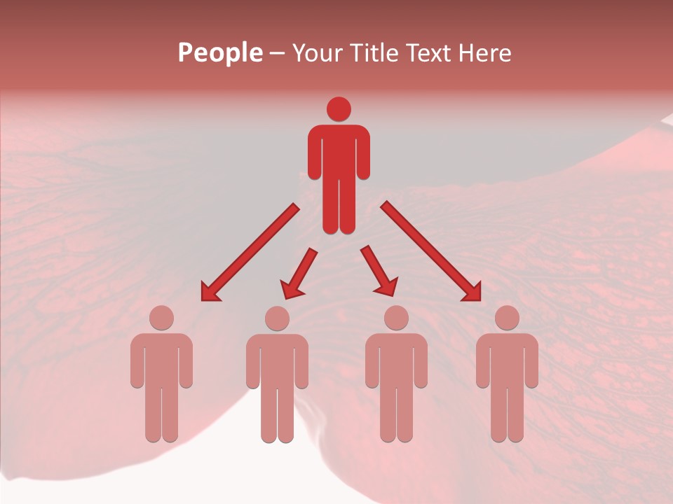 Summer Color Individuality PowerPoint Template