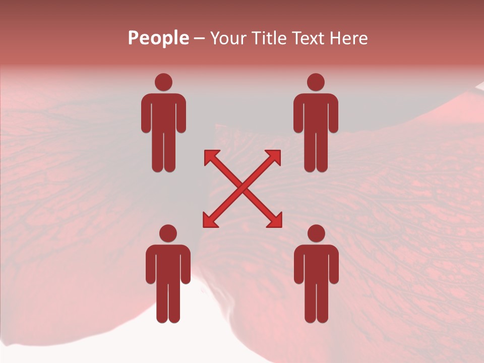 Summer Color Individuality PowerPoint Template