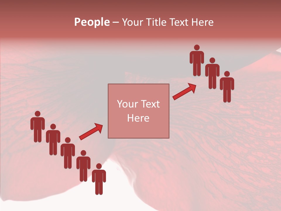 Summer Color Individuality PowerPoint Template