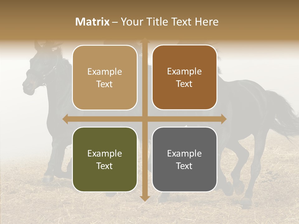 Horse Racing Black Brown PowerPoint Template