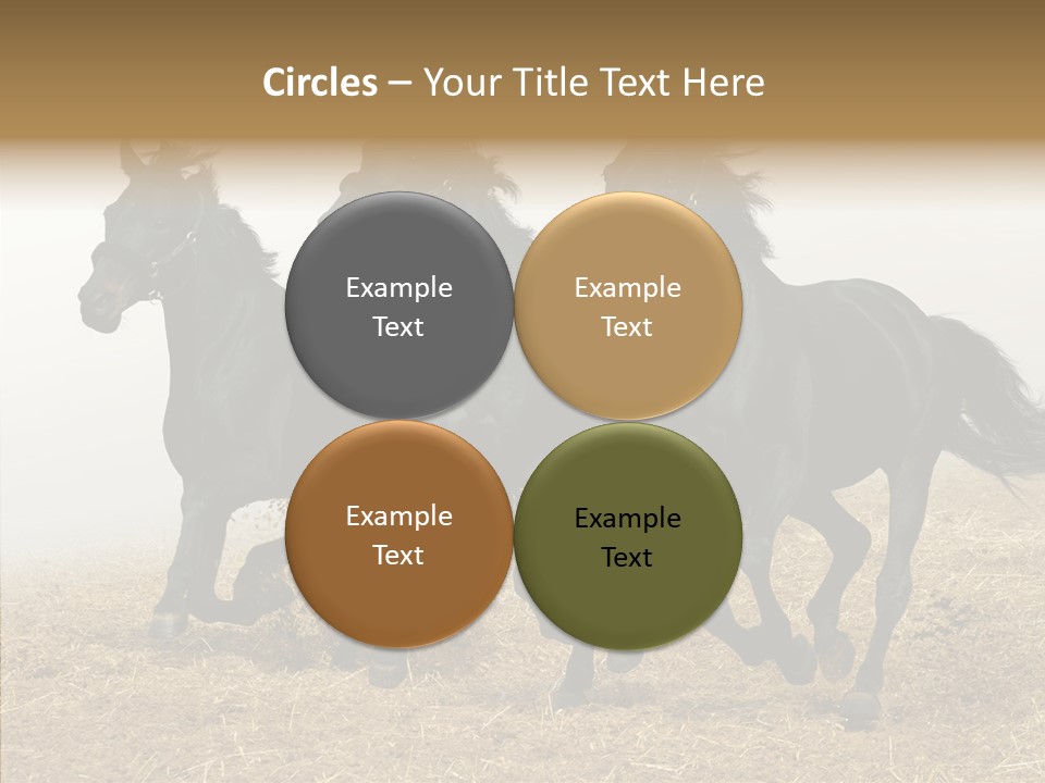 Horse Racing Black Brown PowerPoint Template