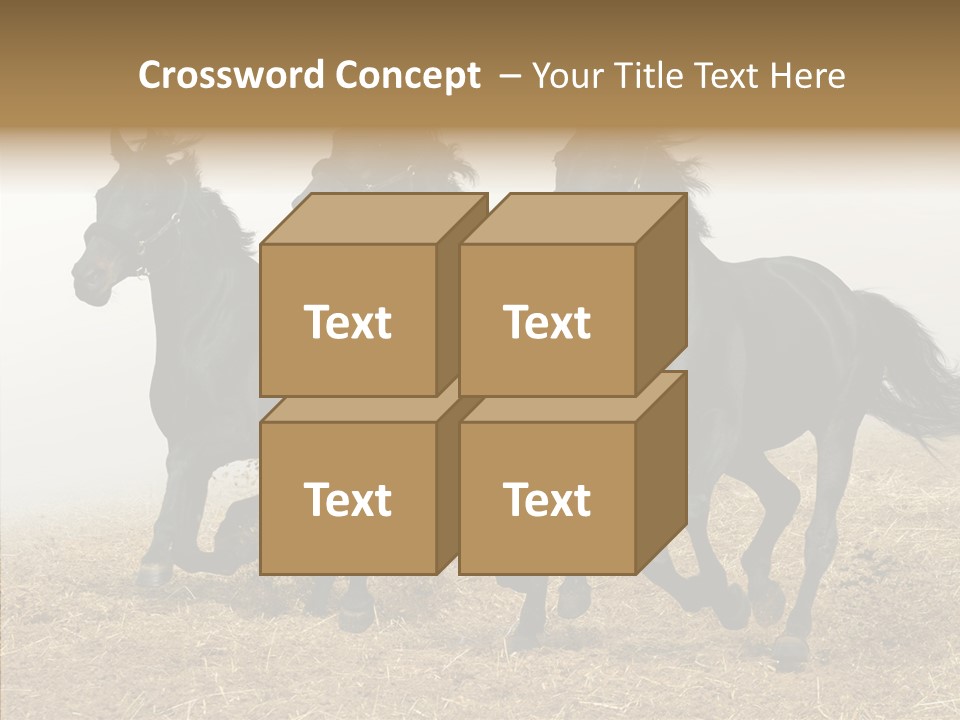 Horse Racing Black Brown PowerPoint Template