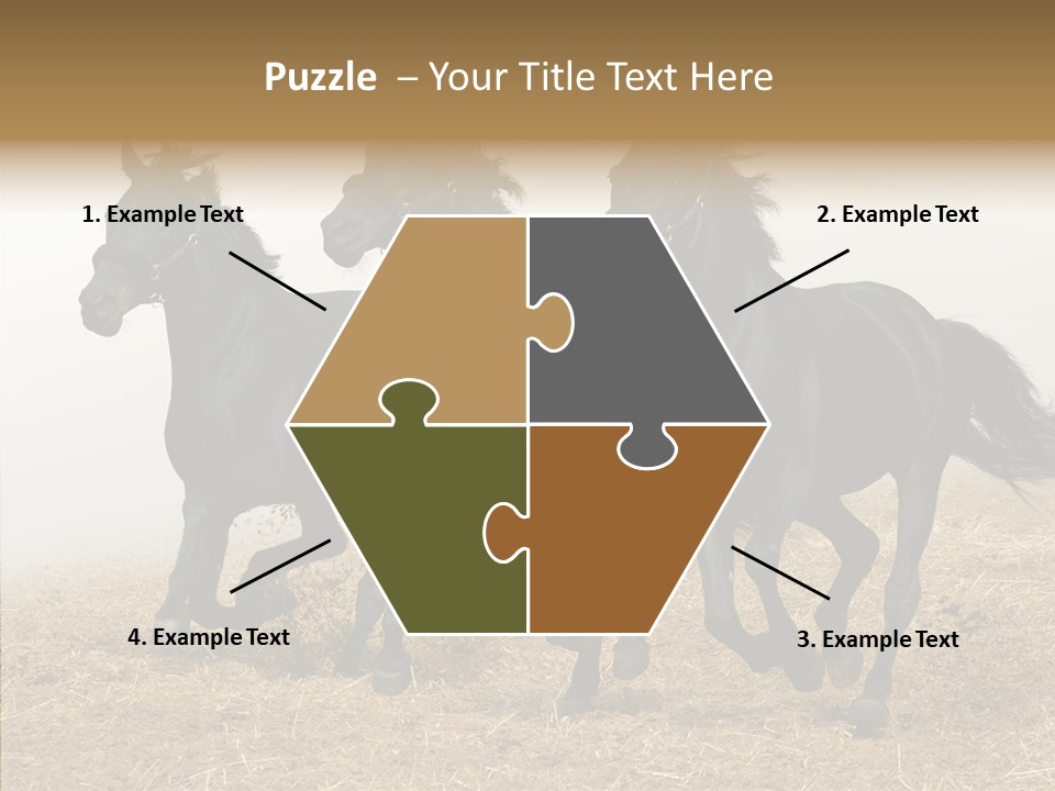 Horse Racing Black Brown PowerPoint Template
