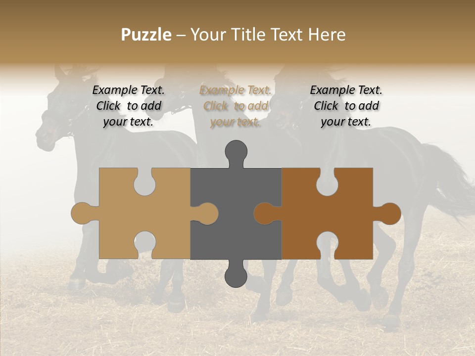 Horse Racing Black Brown PowerPoint Template