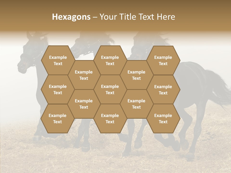 Horse Racing Black Brown PowerPoint Template