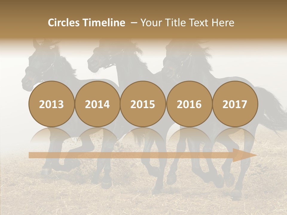 Horse Racing Black Brown PowerPoint Template