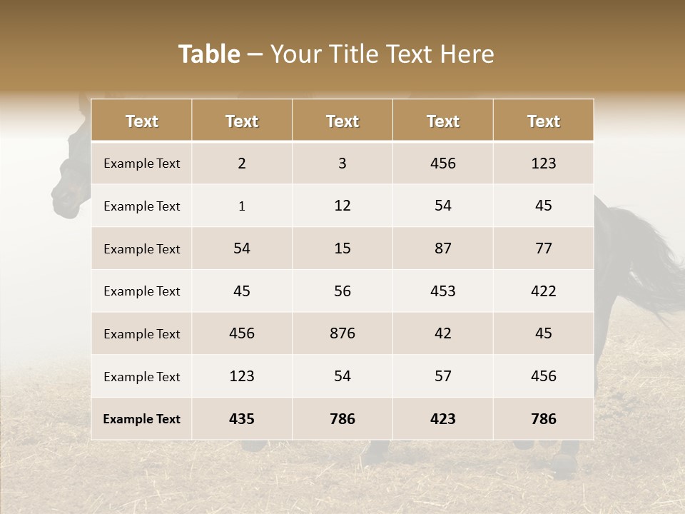 Horse Racing Black Brown PowerPoint Template