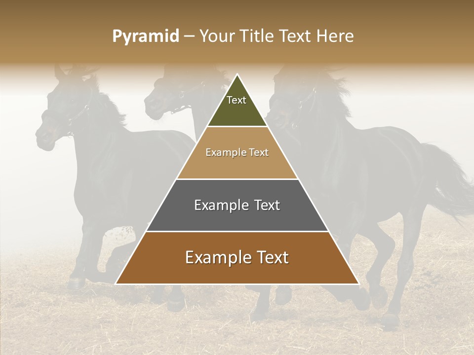 Horse Racing Black Brown PowerPoint Template