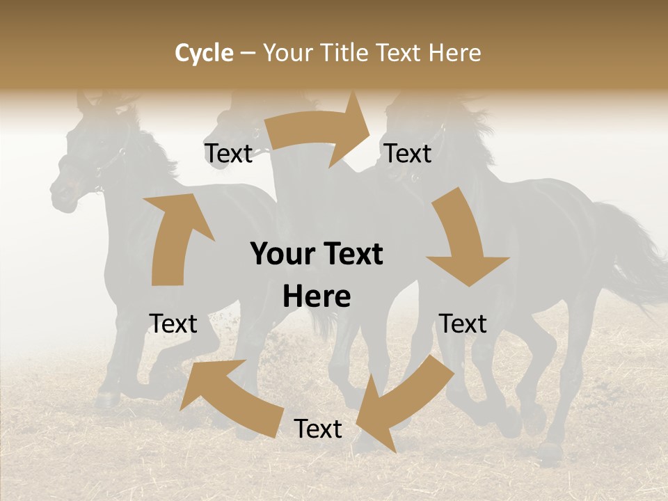 Horse Racing Black Brown PowerPoint Template