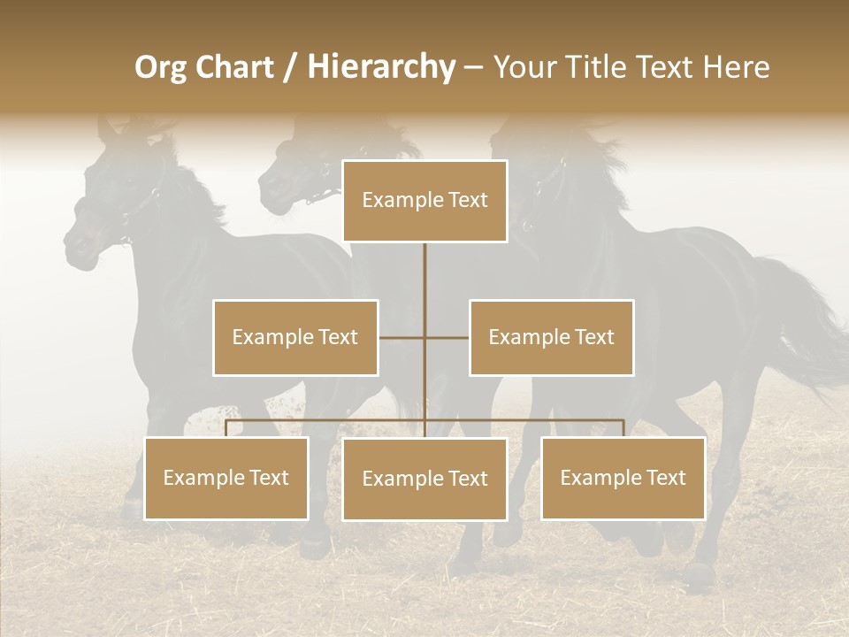 Horse Racing Black Brown PowerPoint Template