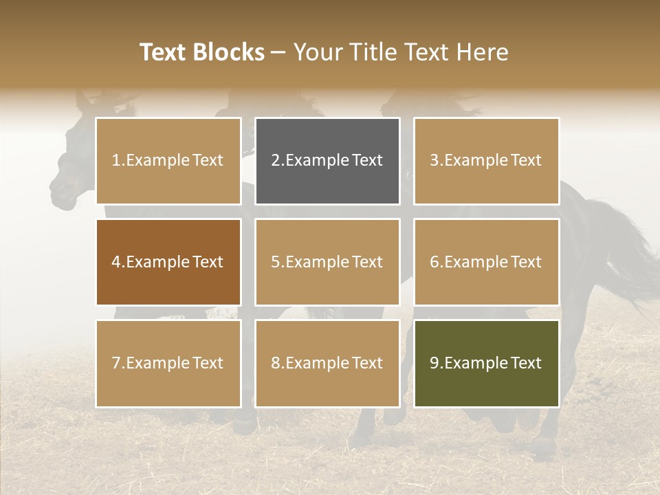 Horse Racing Black Brown PowerPoint Template