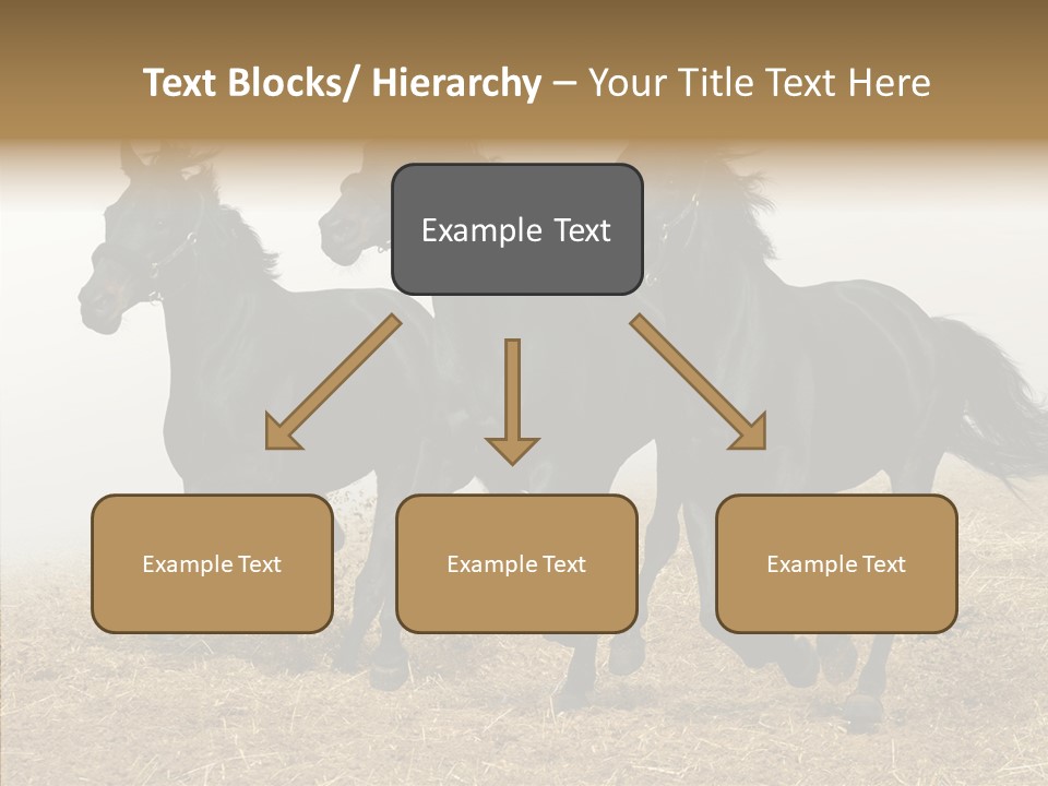 Horse Racing Black Brown PowerPoint Template