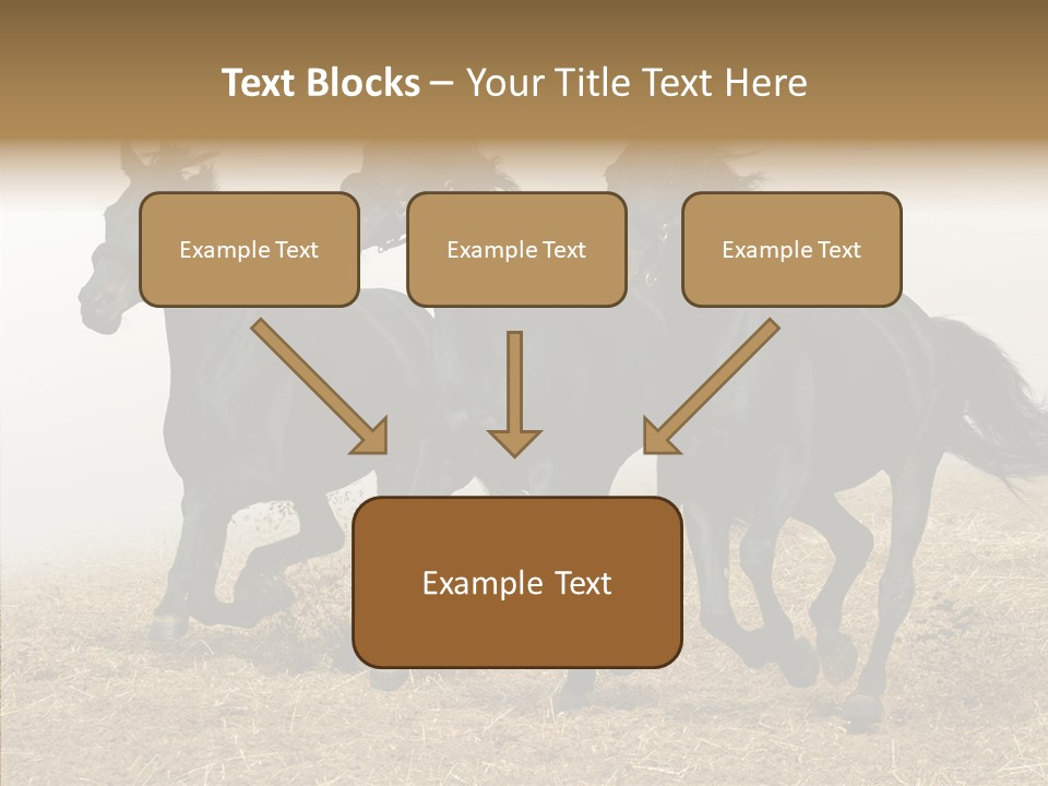 Horse Racing Black Brown PowerPoint Template