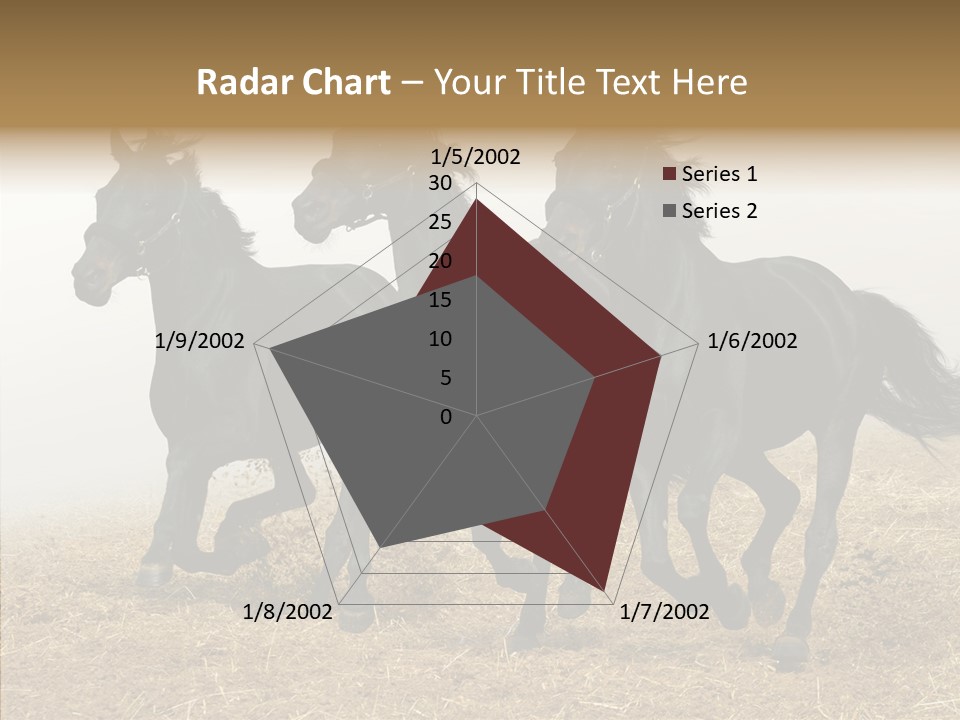 Horse Racing Black Brown PowerPoint Template