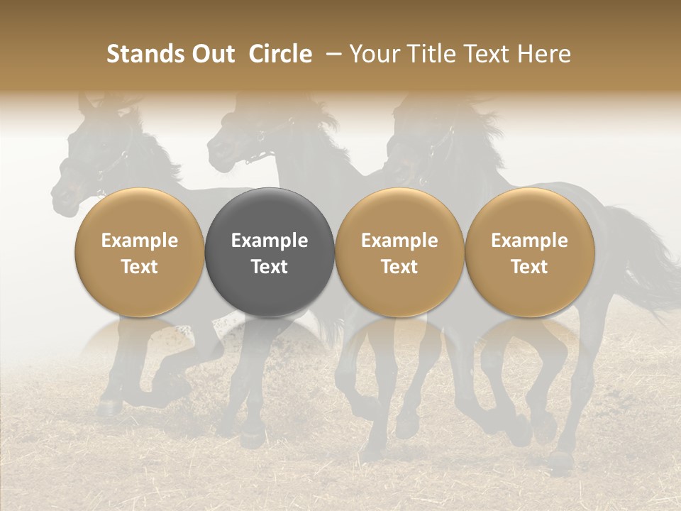 Horse Racing Black Brown PowerPoint Template