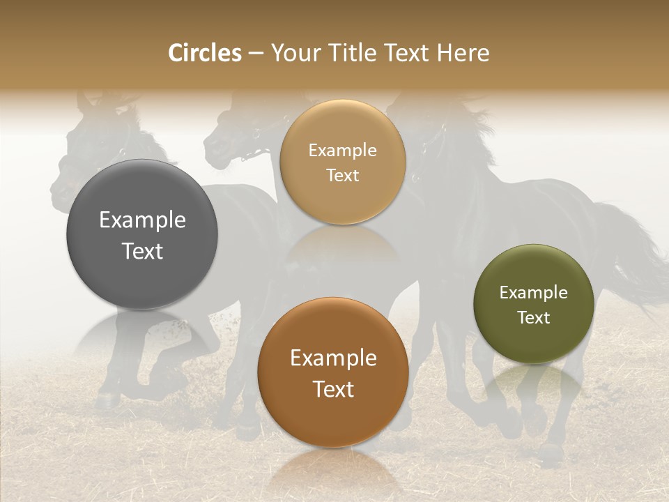 Horse Racing Black Brown PowerPoint Template
