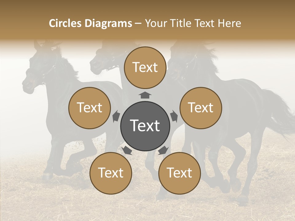 Horse Racing Black Brown PowerPoint Template
