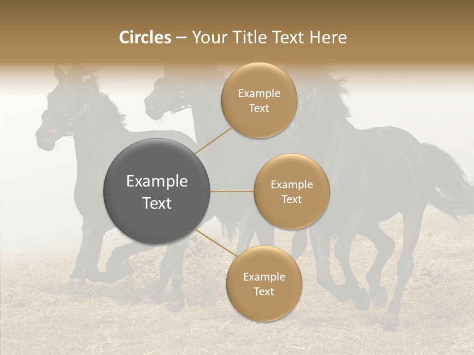 Horse Racing Black Brown PowerPoint Template
