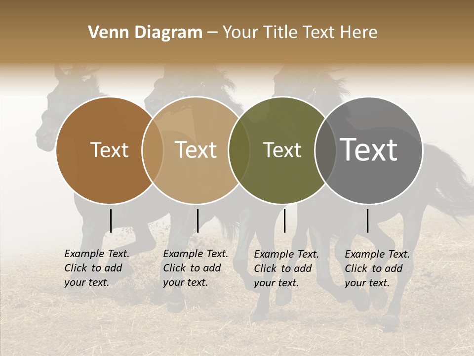 Horse Racing Black Brown PowerPoint Template
