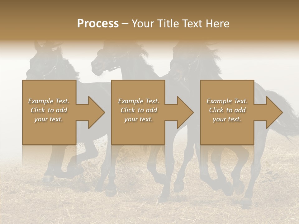 Horse Racing Black Brown PowerPoint Template