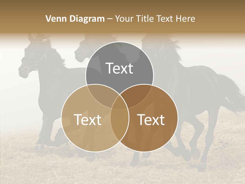 Horse Racing Black Brown PowerPoint Template