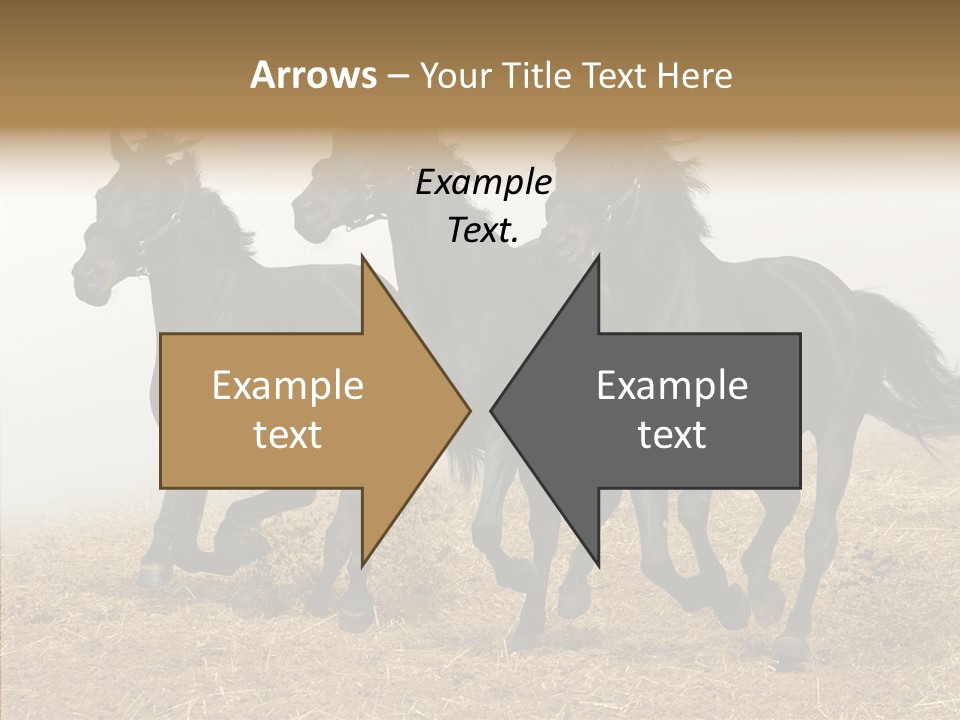 Horse Racing Black Brown PowerPoint Template