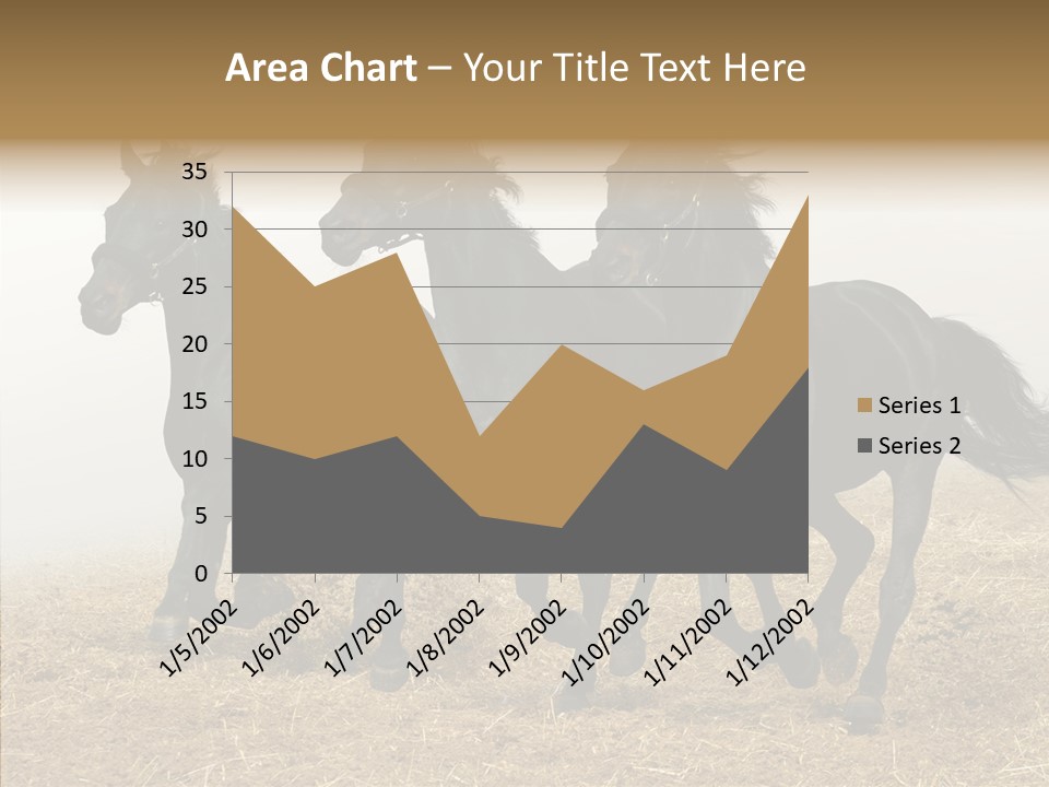 Horse Racing Black Brown PowerPoint Template