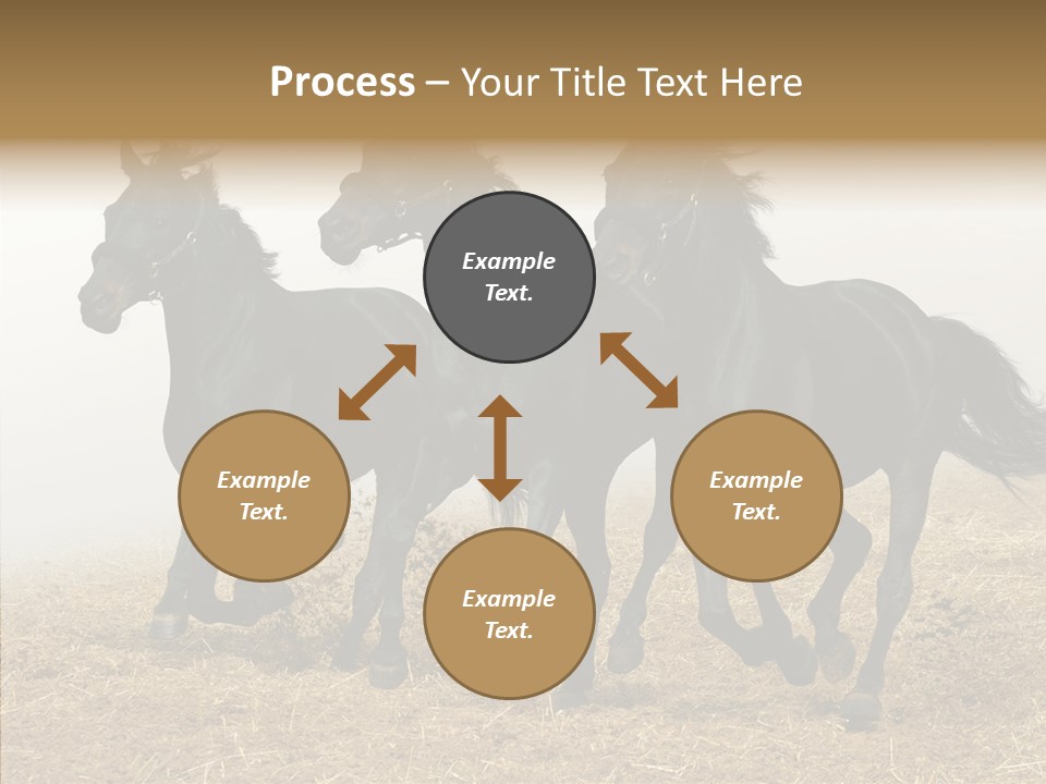 Horse Racing Black Brown PowerPoint Template
