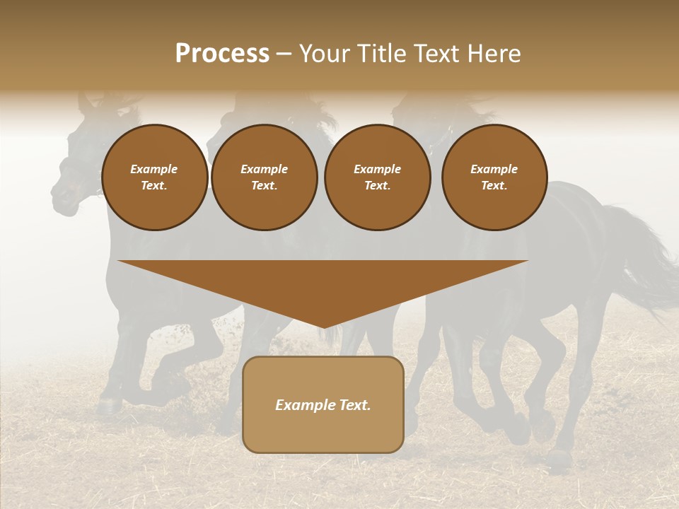 Horse Racing Black Brown PowerPoint Template
