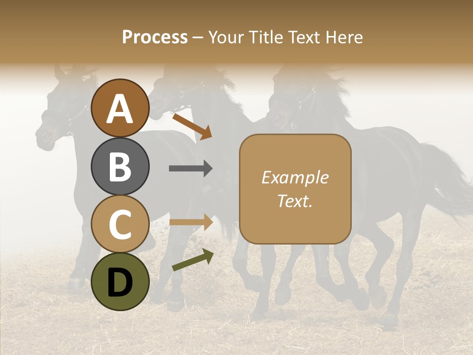 Horse Racing Black Brown PowerPoint Template