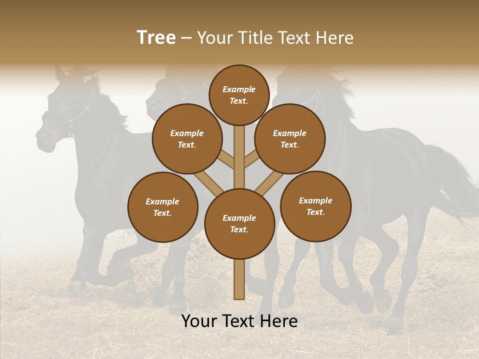 Horse Racing Black Brown PowerPoint Template