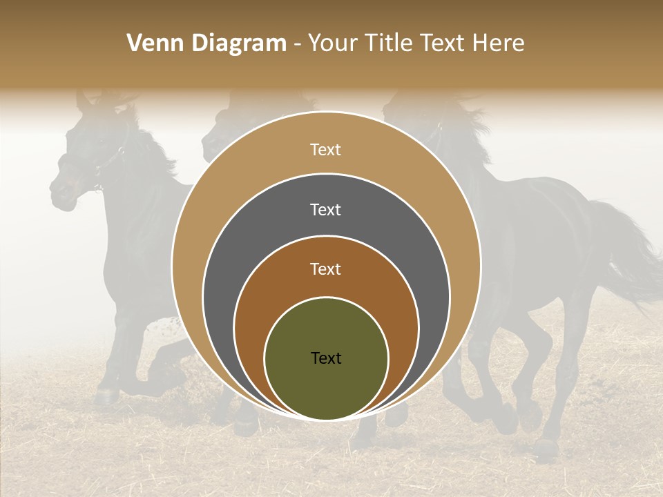 Horse Racing Black Brown PowerPoint Template