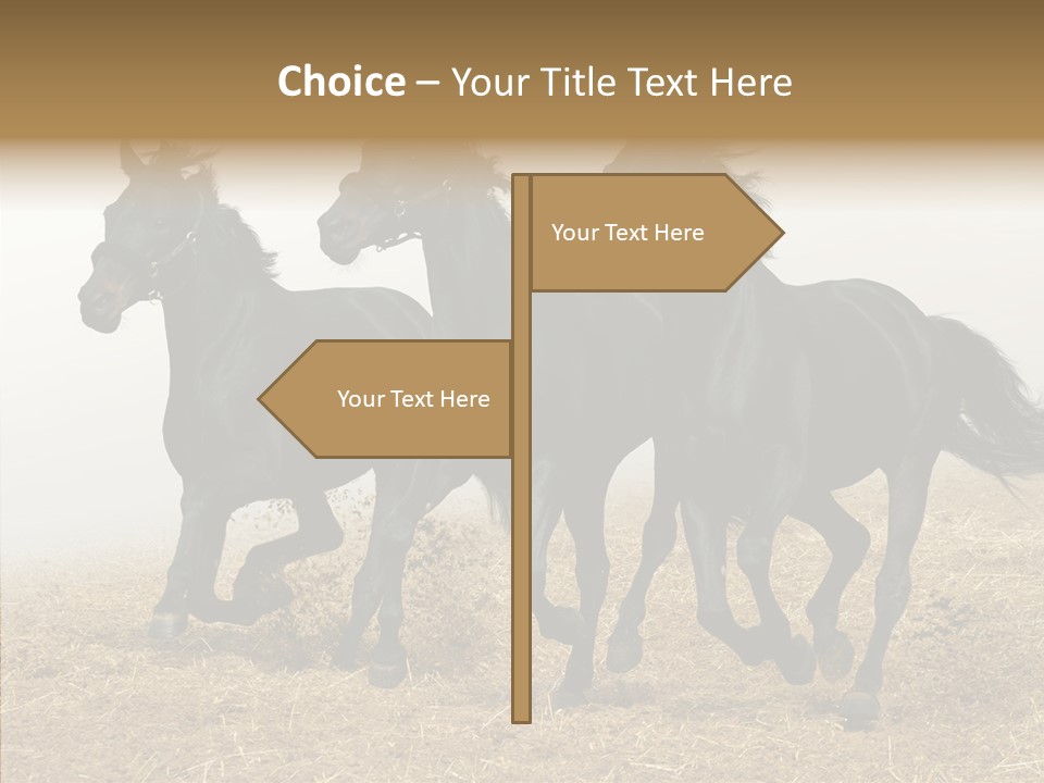 Horse Racing Black Brown PowerPoint Template