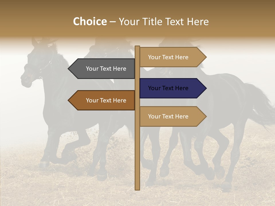 Horse Racing Black Brown PowerPoint Template