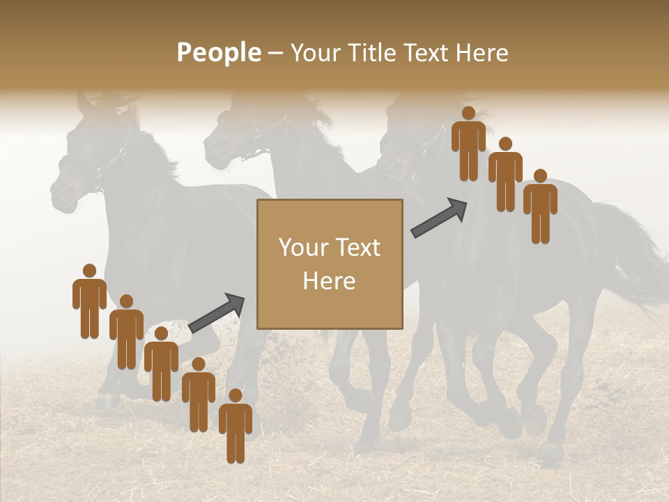 Horse Racing Black Brown PowerPoint Template