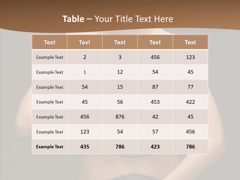 Fan Disk Piercing PowerPoint Template