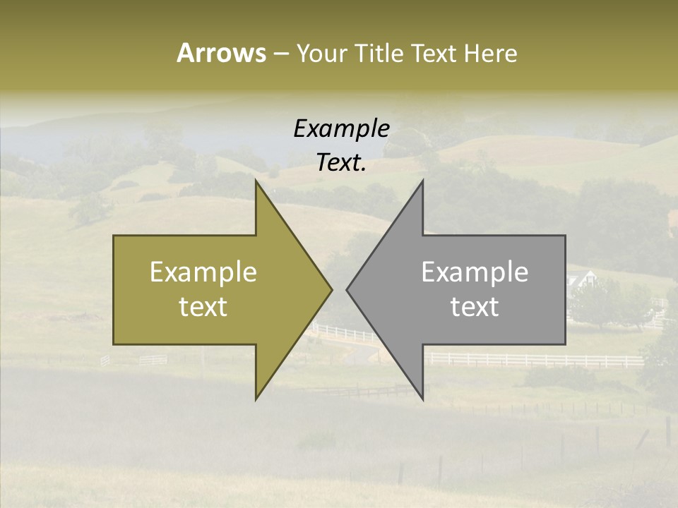 Hard Scape Dwelling Driveway PowerPoint Template