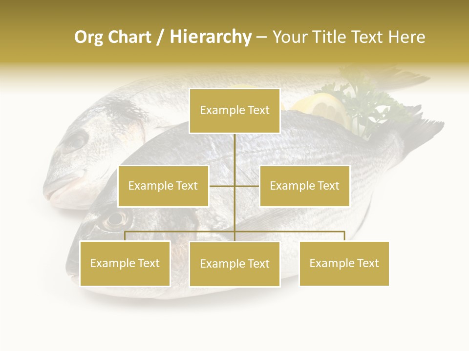 Cook Eating Raw PowerPoint Template