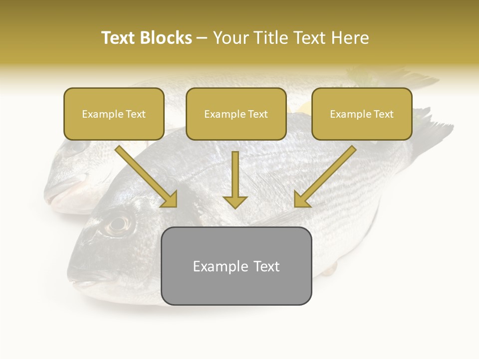 Cook Eating Raw PowerPoint Template
