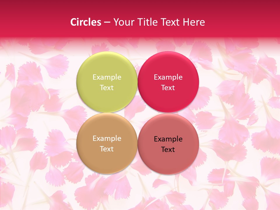 Garden Dianthus Nature PowerPoint Template