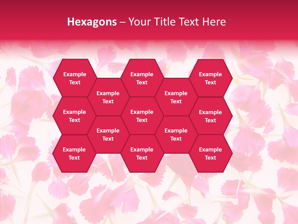 Garden Dianthus Nature PowerPoint Template