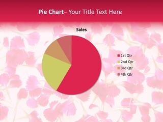 Garden Dianthus Nature PowerPoint Template