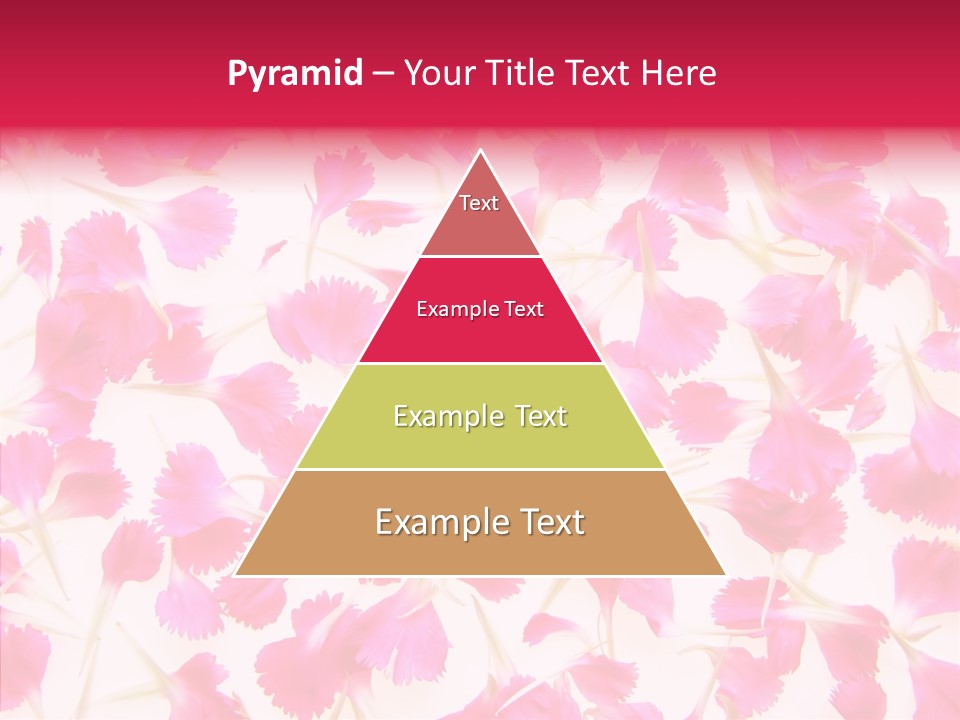 Garden Dianthus Nature PowerPoint Template