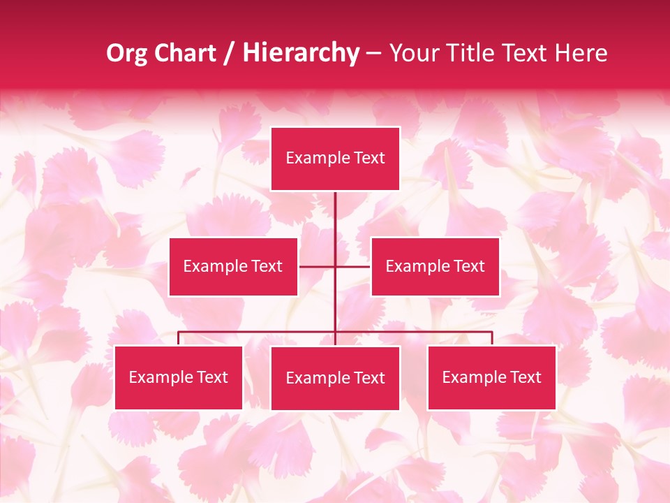 Garden Dianthus Nature PowerPoint Template