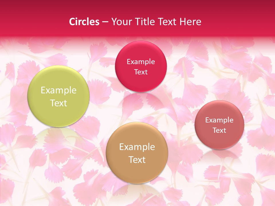 Garden Dianthus Nature PowerPoint Template