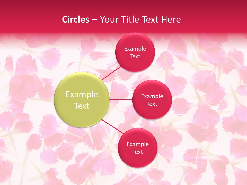 Garden Dianthus Nature PowerPoint Template