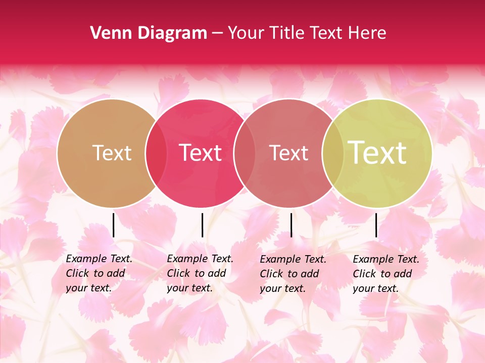 Garden Dianthus Nature PowerPoint Template
