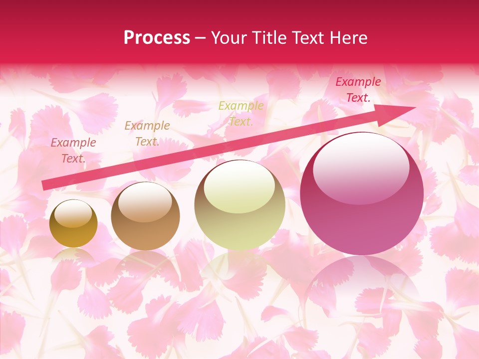 Garden Dianthus Nature PowerPoint Template